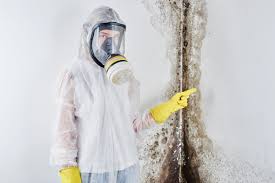 Why You Should Choose Our Mold Remediation Services in Jasper, GA